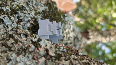 Minecraft Frog Companion 