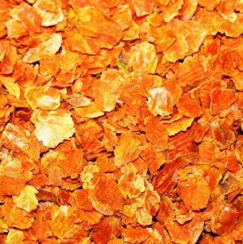 Vegetarische Hundefutter mit Gemüse M