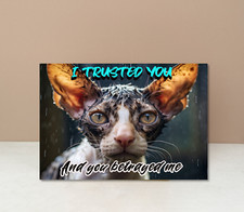 Funny Cat Meme Cat Bathtime "I Trusted You.."  Printed on Sheet Metal Sign