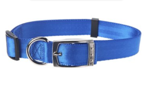 dog collar metal clasp