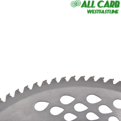 Paquete de 2 cuchillas de cepillo con punta de carburo de 10" x 80T - para cortador, recortador, herbicida EE. UU. - Imagen 4 de 12