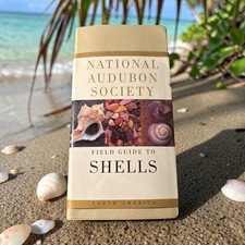 National Audubon Society Field Guide to North American Seashells 1981 Color