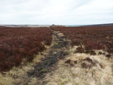 Photo 12x8 Path to Luddenden Dean, Blacks, Wadsworth Hebden Bridge The pat c2016