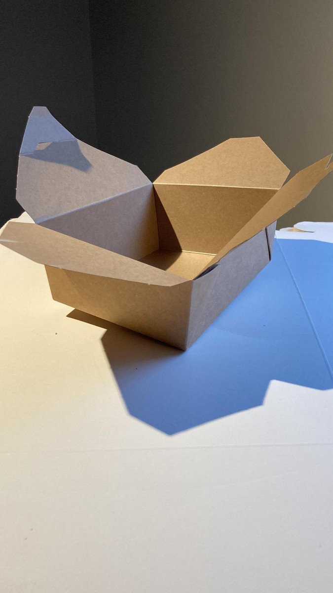 BIOZOYG Confezioni Di Cartone Asia 750ml I 480 Lunch Box I Confezione Take Away In Cartone Riciclato Con Rivestimento Biodegradabile Anti Perdite I - Foto 10