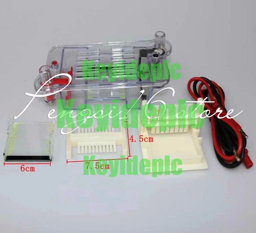 27022 Electrophoresis Tank High School Biological Equipment 122-3122~