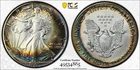 1987 AMERICAN SILVER EAGLE ASE $1 PCGS MS68 MONSTER RAINBOW TONED TRUEVIEW D275