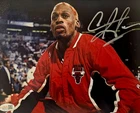 Dennis Rodman Signed METALLIC Photo 8x10  NWO Bulls Worm Autograph HOF JSA HOGAN