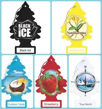 1 Pack Little Trees Odor Eliminator Hanging Air Freshener, Scent May Vary