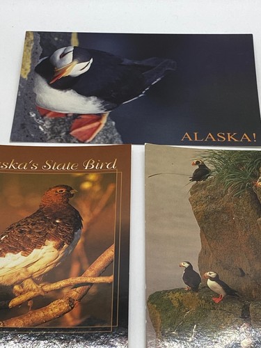 Lot of 3 unposted postcards Birds of Alaska, Willow Ptarmigan/ Puffins 4"x 6" - Picture 4 of 9