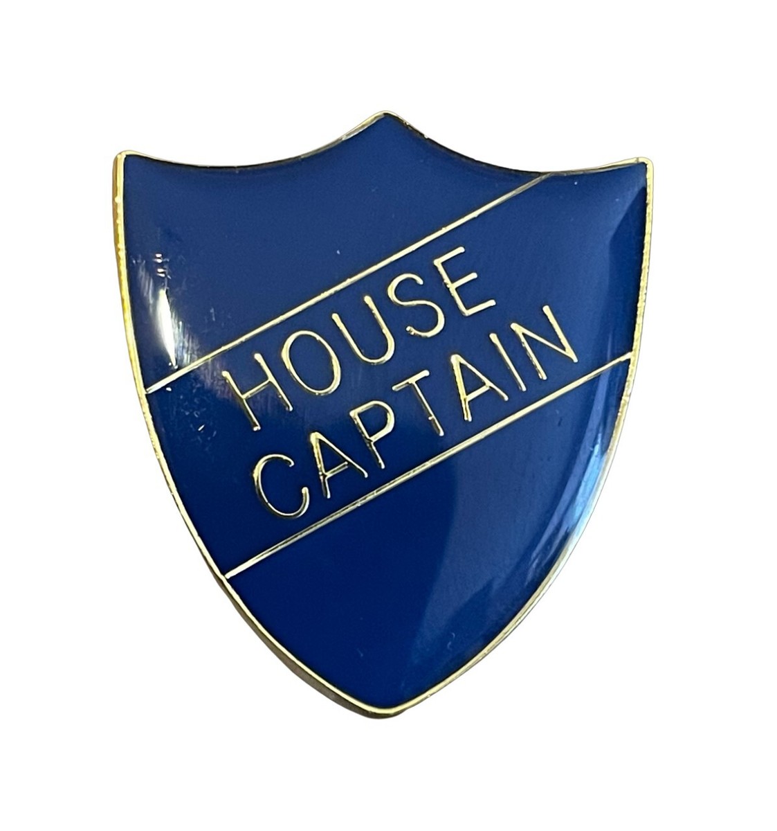 Form Captain Badge Ideal For Schools Available In 4 Colours (GW