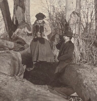 1890s-1910s Outdoor Women Sitting On Large Fallen Tree Forest Scene