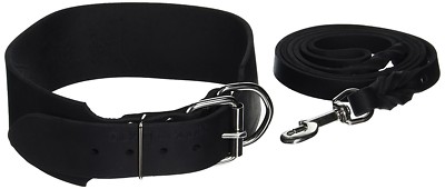 Dean & Tyler 22  Premium Leather Dog Collar + Leash Medium Large Black w/ Nickel