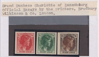 E8288: (3) 1920's Luxembourg Official Charlotte Essays