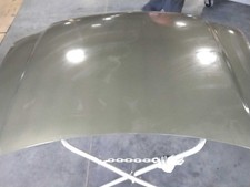Used Hood Fits 2005 Ford Expedition Grade A