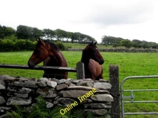 Photo 6x4 Horses behind a dry-stone wall, Legland Bellway Pictured along  c2014