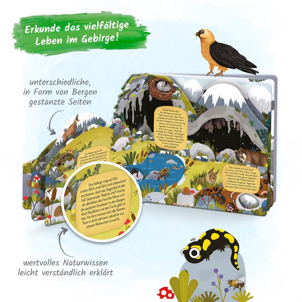 Thumbnail - Trötsch Fensterbuch Gebirge Trötsch Verlag Gmbh & Co. Kg