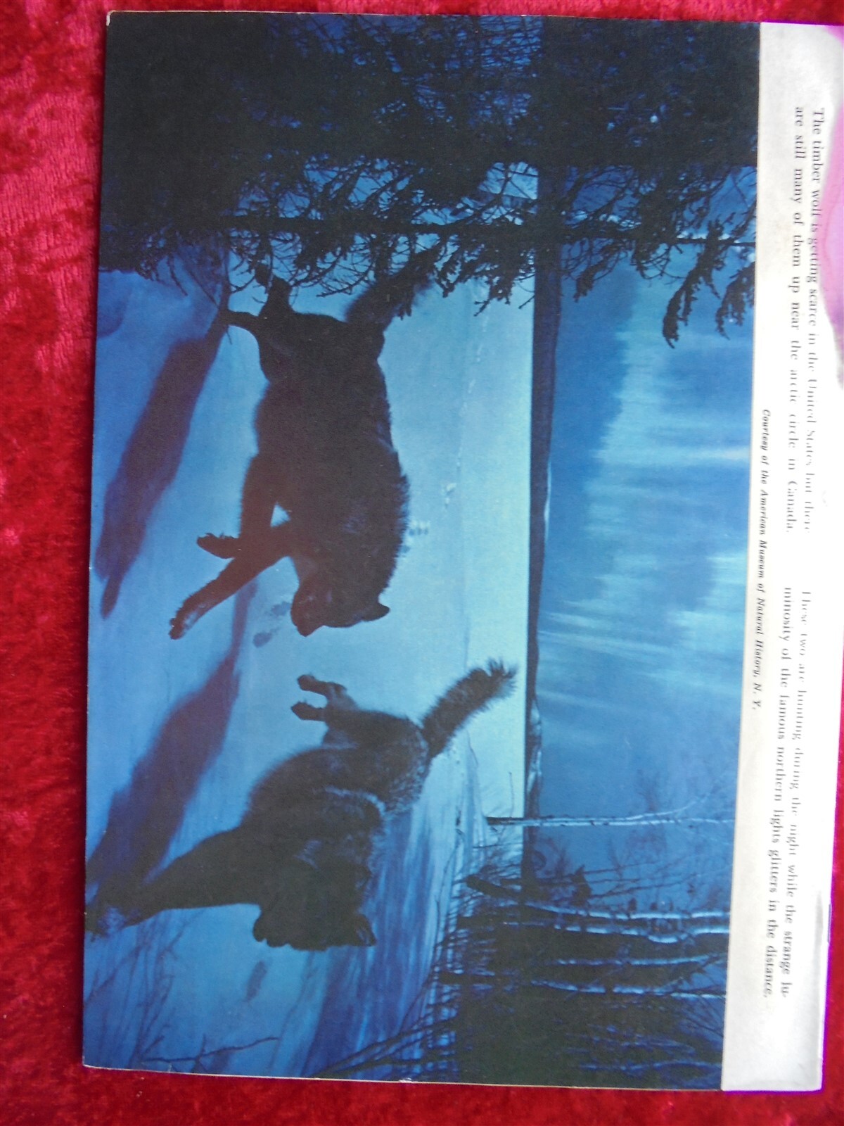 Picture 2 of 2