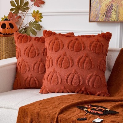 Vibrant Rust 18x18 Decorative Pillow Covers - Fall Pumpkin Theme (2-Pack)
