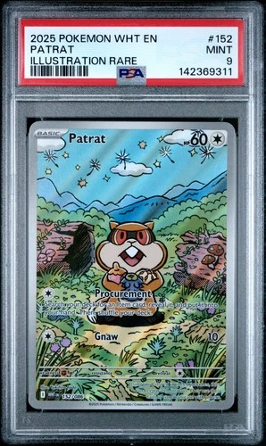 142369311 Patrat 2025 Pokemon White Flare #152 Illustration Rare PSA 9