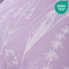 Foto 3 di 7