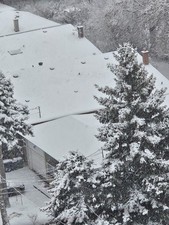 WINTER SNOWING TORONTO virtual digital photo picture card image J032T Julia