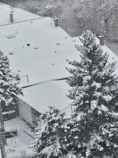 WINTER SNOWING TORONTO  virtual digital photo picture card image #J032T Julia