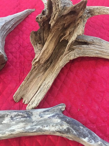 Driftwood Lot 24” Natural Nautical Home Decor Cedar Tree Root Aquarium Crafts - Picture 6 of 8