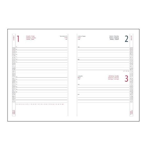 3291560 In Tempo AGENDA GIORNALIERA 15X21 ALFA ROSSO