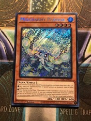 Mulcharmy Purulia INFO-EN027 Secret Rare The Infinite Forbidden