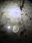 1964-P 90% Silver Roosevelt Dime F+ Junk Silver