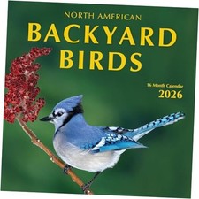 Backyard Birds Calendar 2026-12-Month Hangable Wall 2026 Backyard Birds