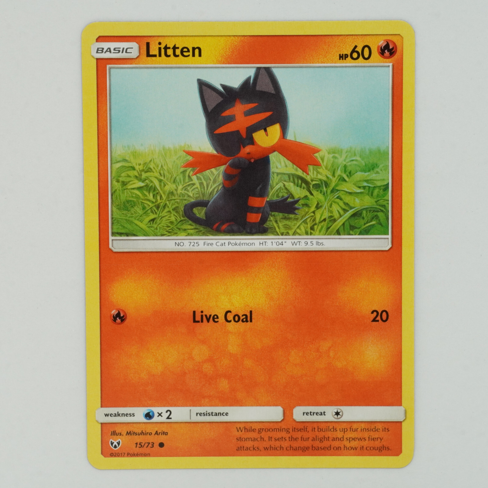 Litten 15/73 Common Shining Legends Pokemon Card