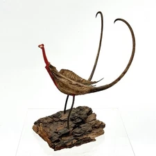 Vintage Devil's Claw Seed Pod Bird Sculpture Mounted on Driftwood Bark