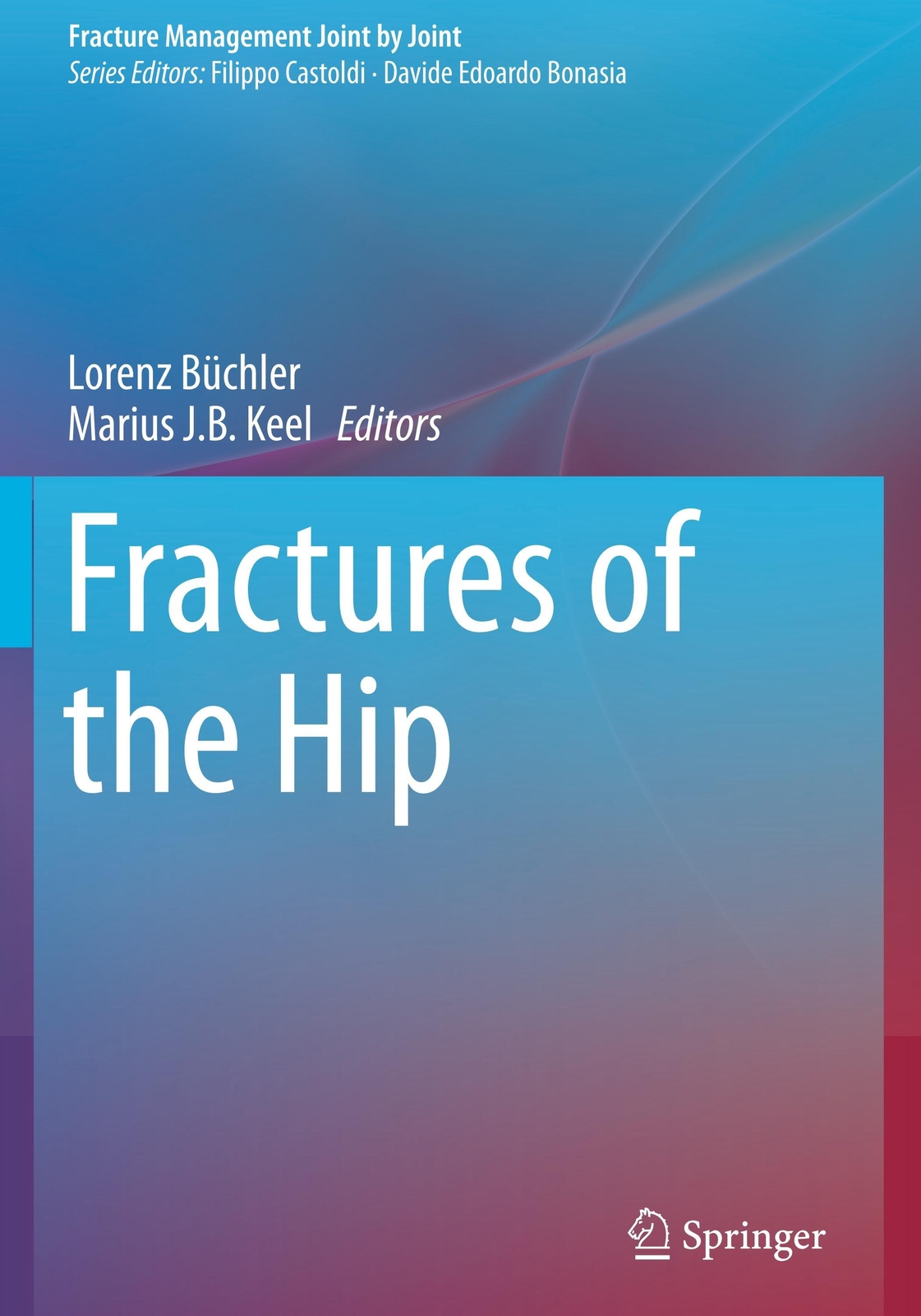 Thumbnail - Marius J. B. Keel (u. A.) | Fractures Of The Hip | Taschenbuch |