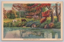 Postcard Greetings from Ironton, Ohio, Cows Grazing by Water in Autumn Vintage