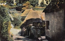 C293 England Cockington   small village vintage postcard