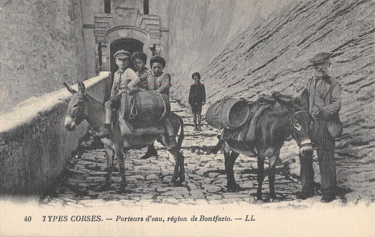 Ajaccio - CORSE - AJACCIO - LOT de 3 cartes pionnières au dos non divisé
