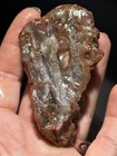 Agatized Piece Of Petrified Wood Lot A2 — photo 1