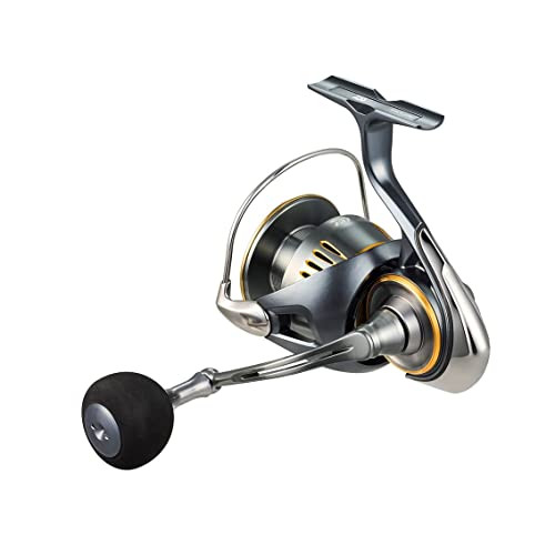 Daiwa LT5000D-CXH Spinning Reel 23AIRITYNEW | eBay