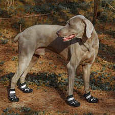 4x Anti Slip Dog Shoes Outdoor Dog Boots Waterproof Dog Shoes Paw Protector