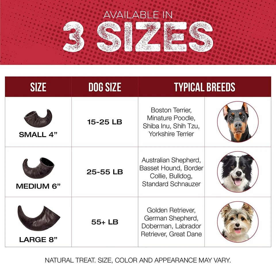 Fang and Claw, Water Buffalo Horn Dog Chew 4 Pack All Natural Long Lasting  - Image 2 of 4