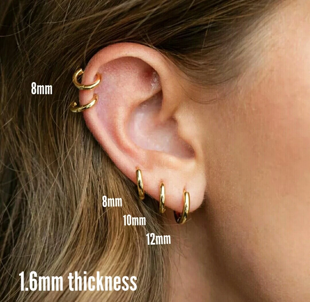 Gold Plated Stainless Steel Small Hoop Hinged Earrings Men Women