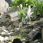 Bild 5 von 10