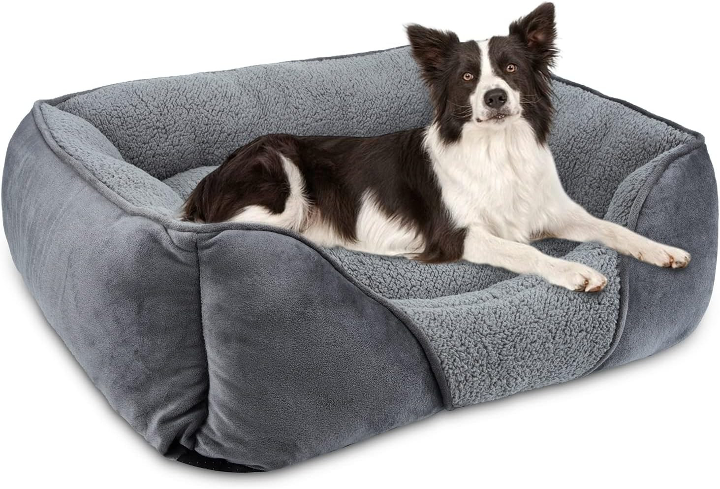 Cuccia Cane Interno Taglia Media Lavabile: Cuscino Antiscivolo Morbido