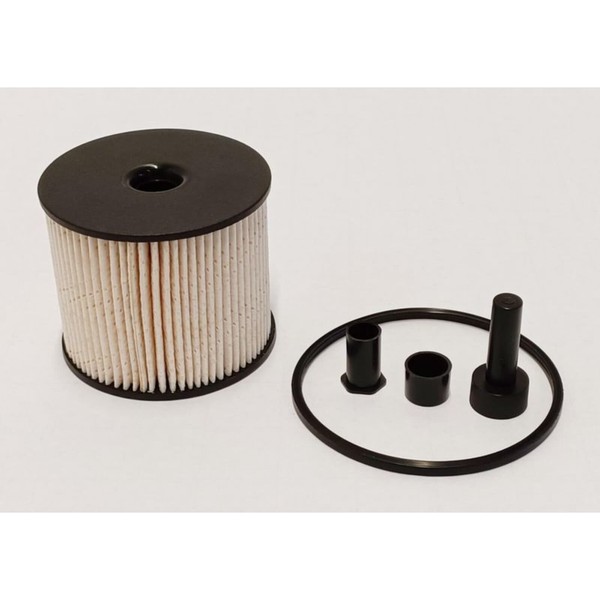 Champion Kraftstofffilter Filtereinsatz Passend FüR CitroËN Berlingo C4 C5 C8-image
