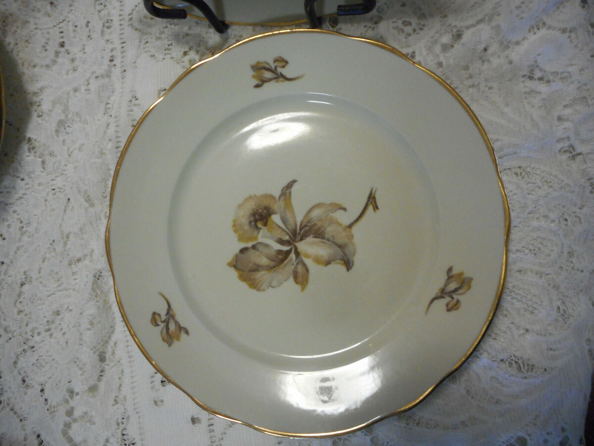 Kjøbenhavns Porcellains Maleri KPM Brown Orchid 1 Dinner Plate 1924 Antique