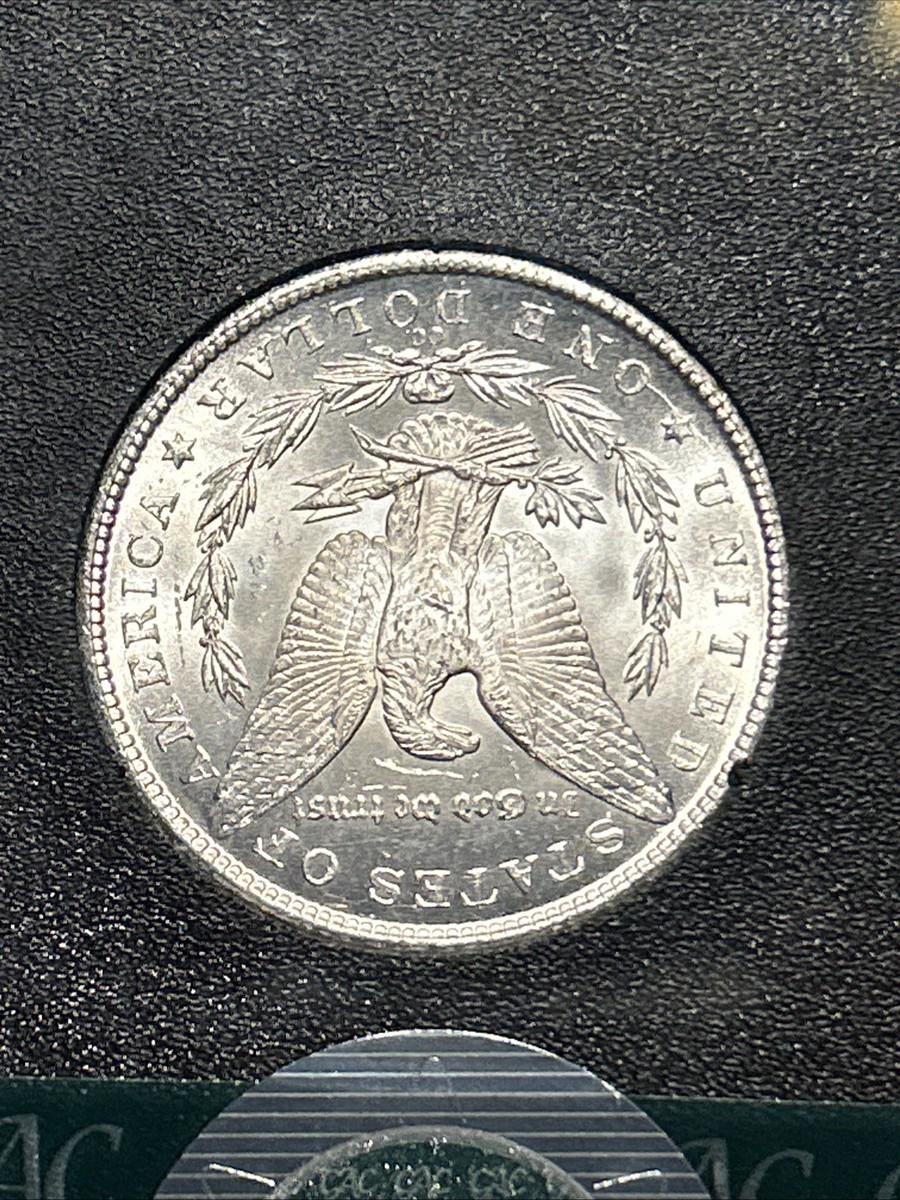 1884-CC Morgan Silver Dollar GSA Treasure MS64 CAC CACg | eBay