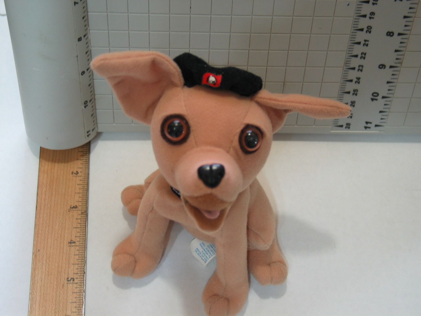 Picture 4 of 4