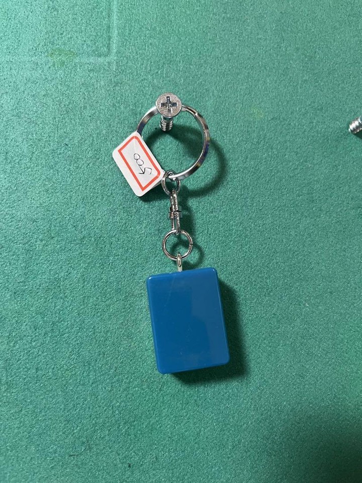 Donjara Keychain Super Mushroom Mario eBay