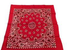 Hav-A-Hank Red Paisley Bandana Handkerchief 100 Cotton USA RN15187 Vintage